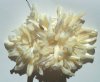 16 inch strand of White Irregular Shell Sticks